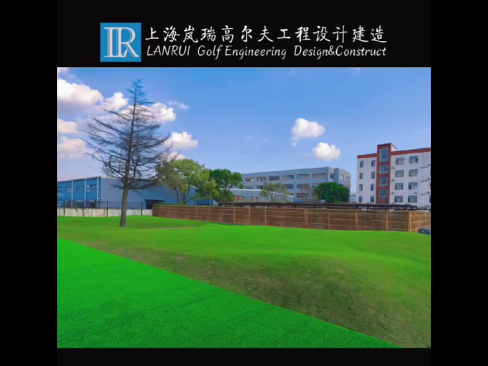 视频展示